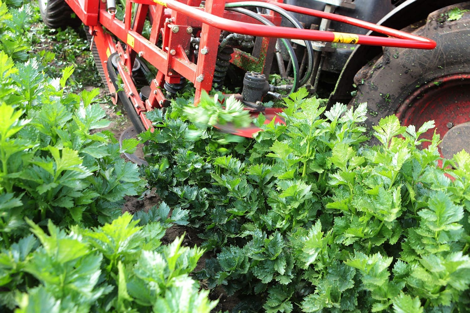 harvest machine close up