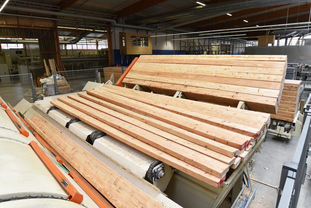 wood conveyor belt
