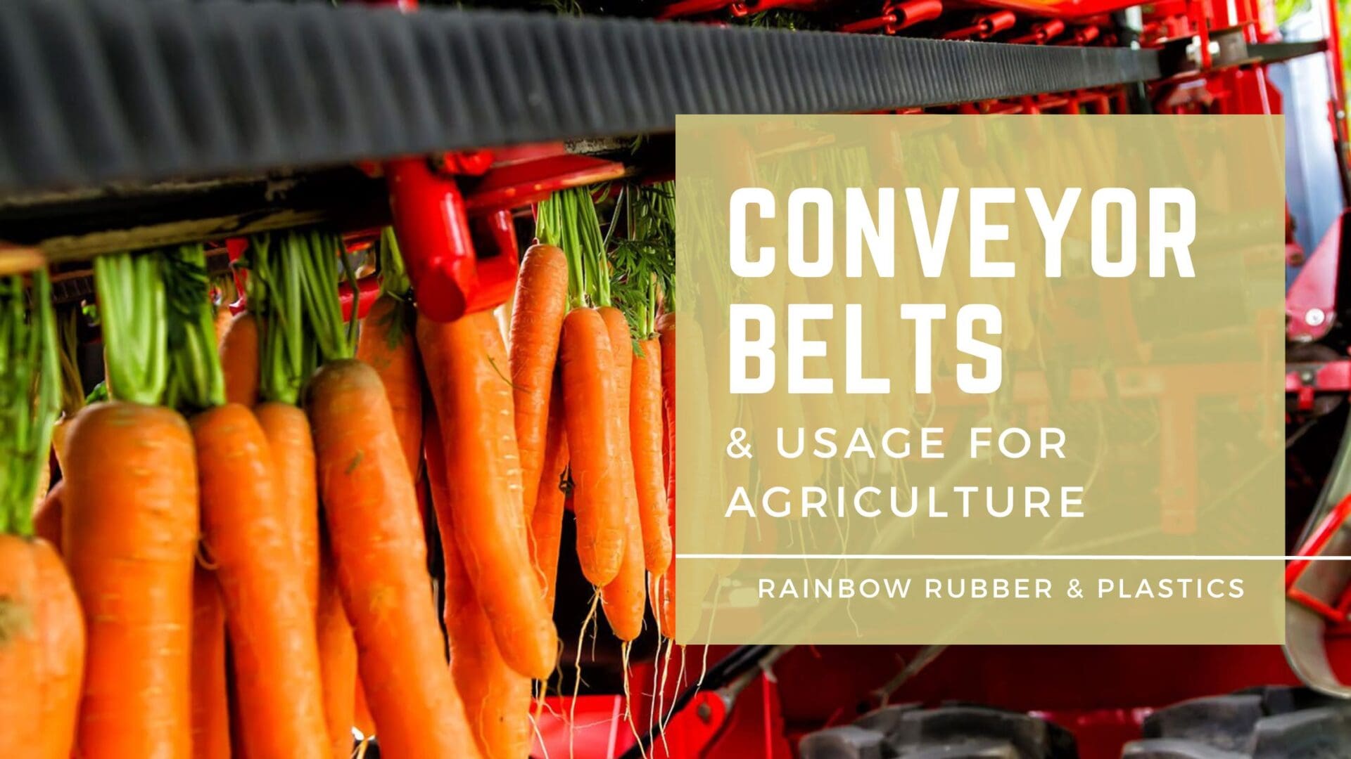 Usage of Conveyor Belts in Agriculture